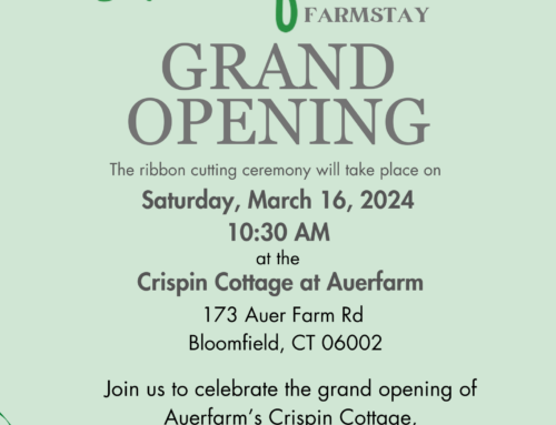 Bob’s Discount Furniture and Auerfarm To Unveil Newly Furnished Farmstay During Farm’s Annual Maple Sugaring and Pancake Breakfast Event