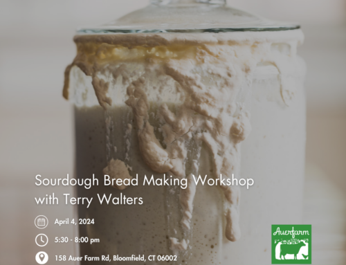 Beloved Cookbook Author Terry Walters Returns to Auerfarm for Hands-On Sourdough Bread Workshop