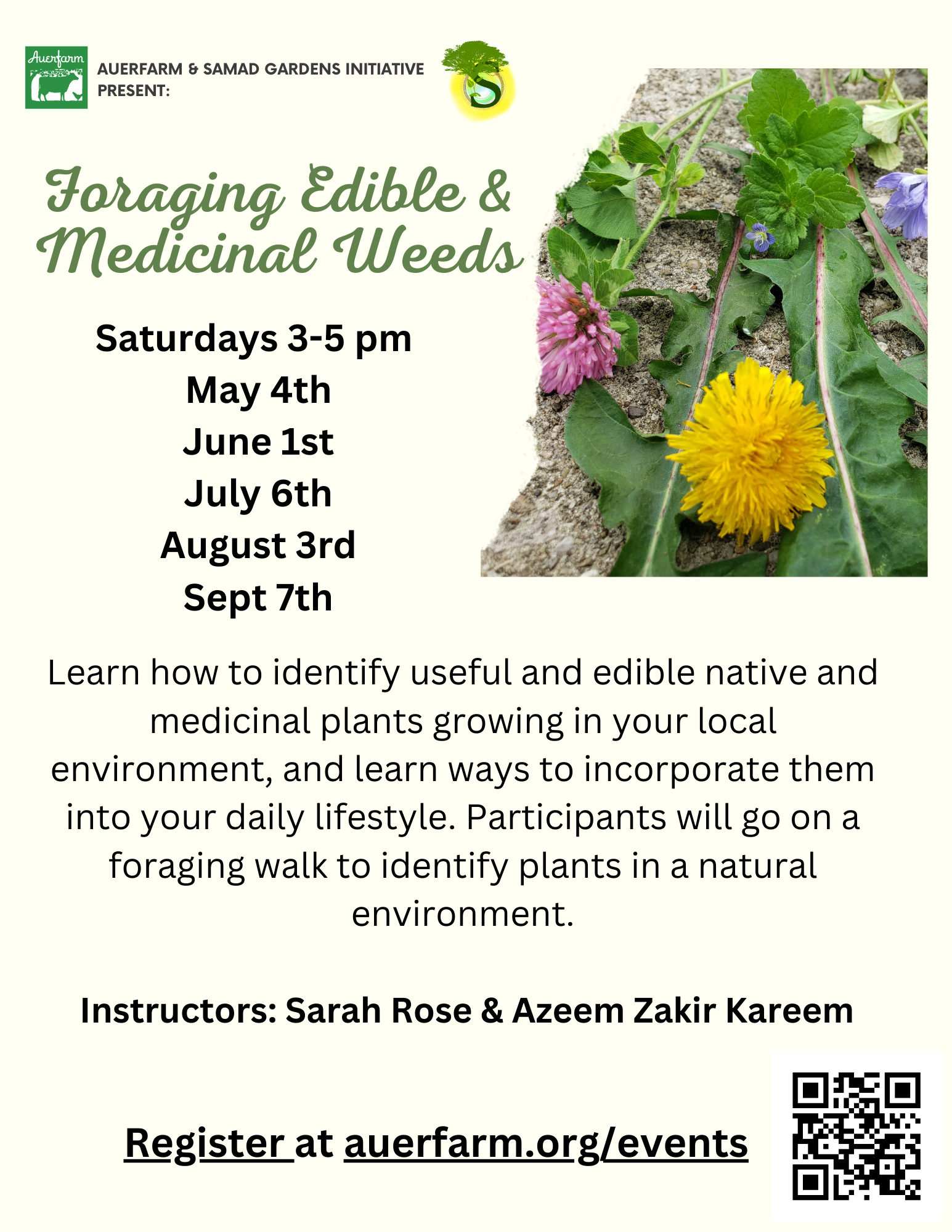 Foraging Series – Auerfarm