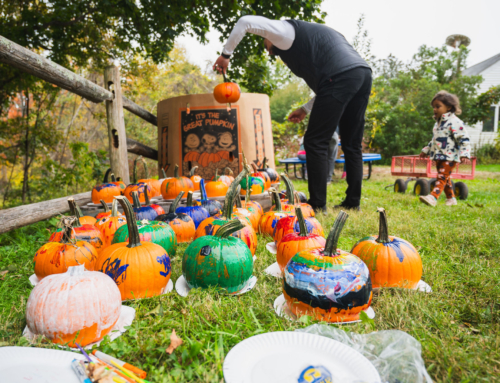 Celebrate Autumn at Auerfarm’s Annual Fall Festival!