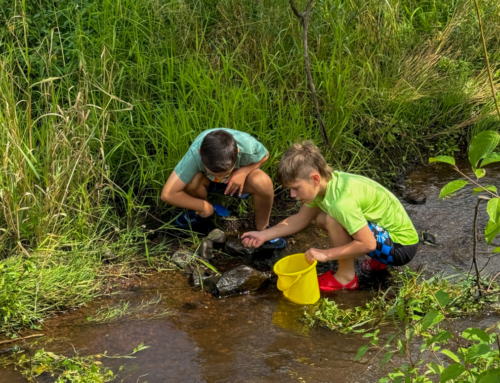 A Stream of Possibilities: Connecting Students to Nature and Each Other