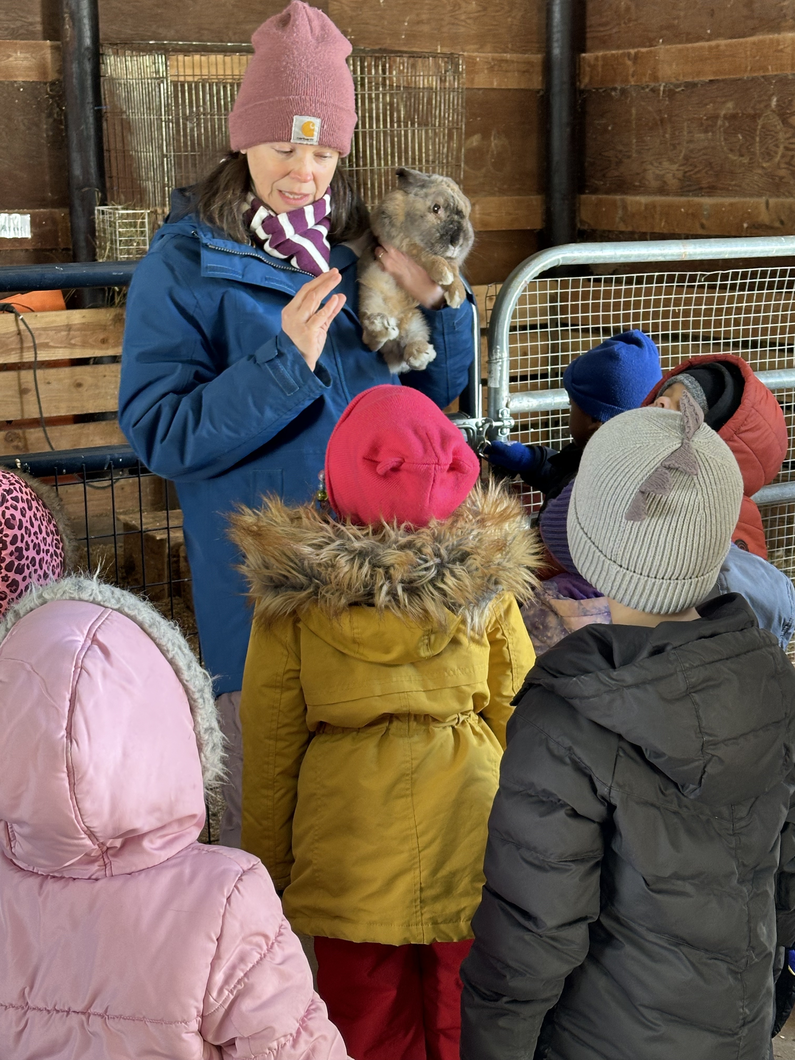 A teacher shows a group of students a rabbit. 