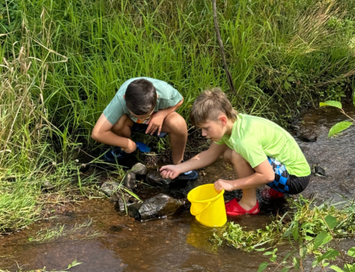 S.T.E.M. Enrichment Club At Auerfarm Opens Enrollment for 2025 Sessions