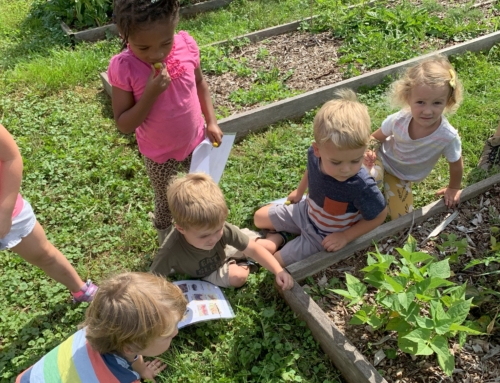 Learn, Explore, and Connect through Auerfarm’s Outdoor Enrichment Programs