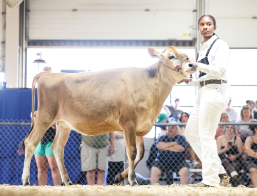 The Unexpected Journey From Barn Chores to Boardroom Confidence