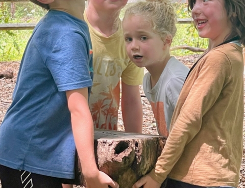 STEM Takes Root at Auerfarm