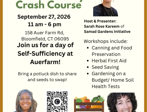 Self Sufficiency Crash Course