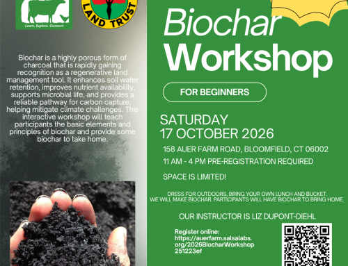 Biochar Workshop