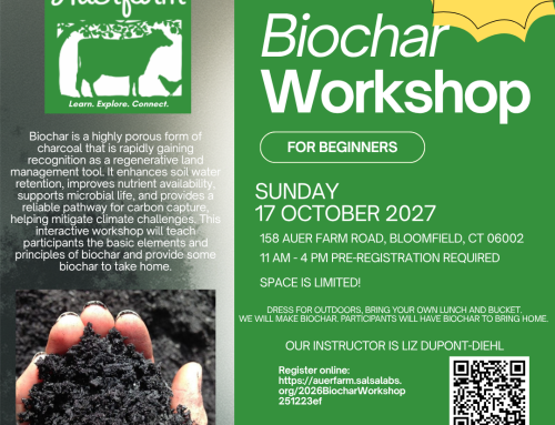 Biochar Workshop